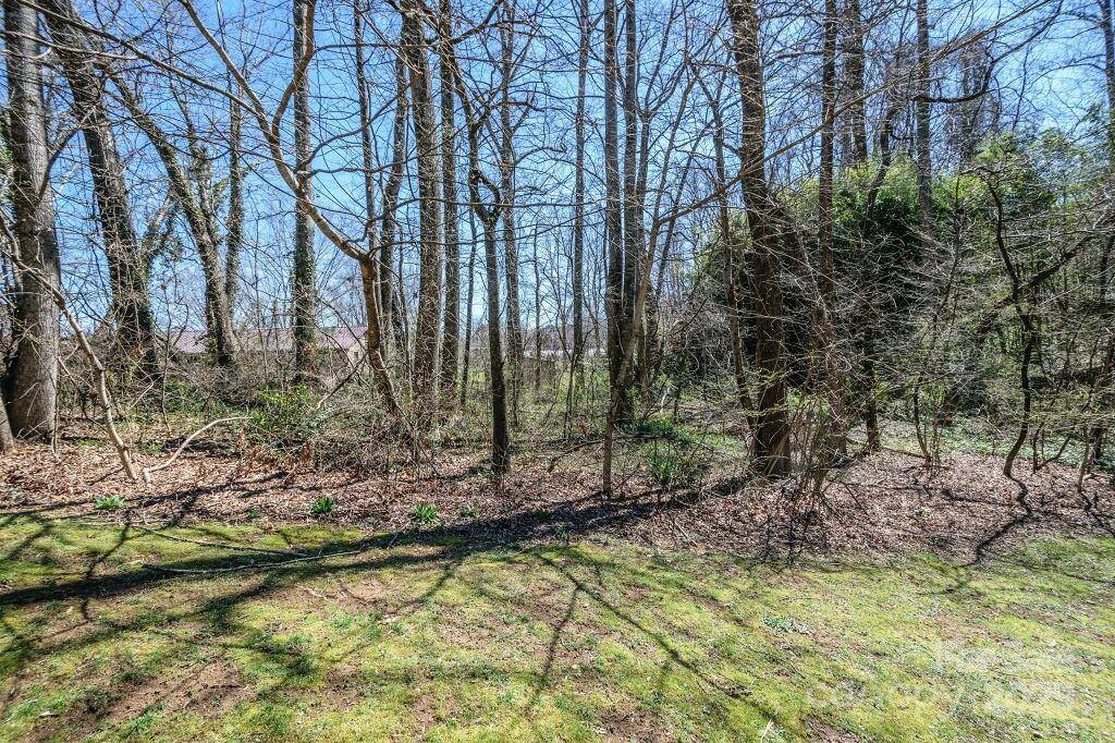 25 Apple Creek Lane, Hendersonville, NC 28792
