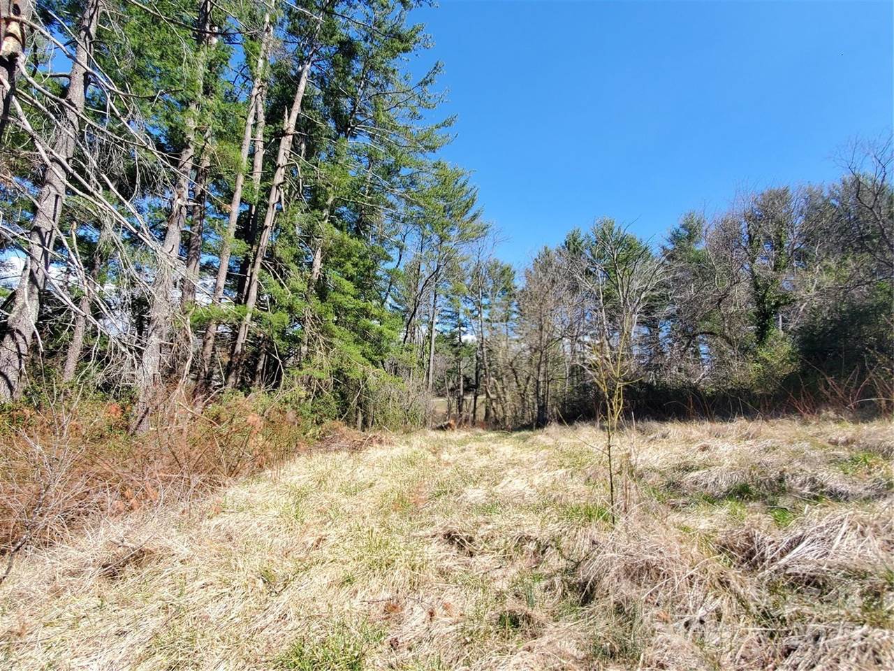 28 Plemmons Street, Canton, NC 28716