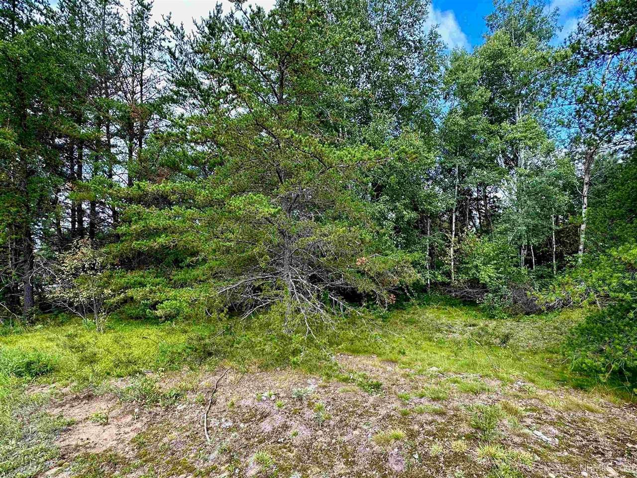 9 Southwoods Lane, Ishpeming, MI 49849