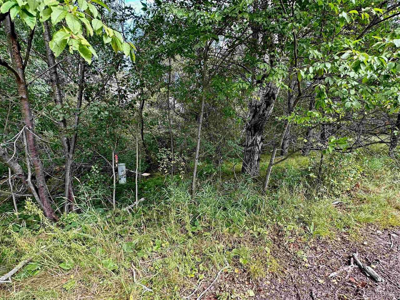 9 Southwoods Lane, Ishpeming, MI 49849