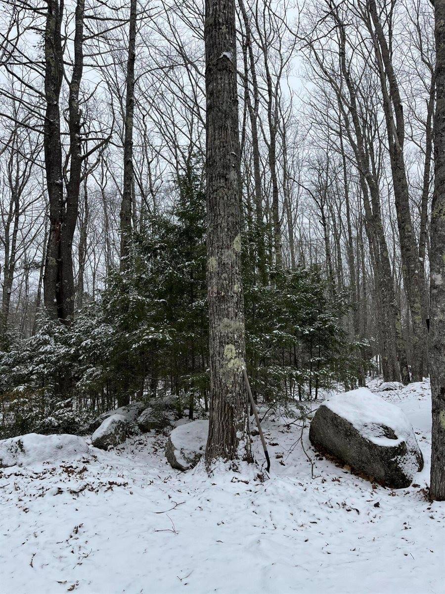 1648 Bucksport Road, Ellsworth, ME 04605