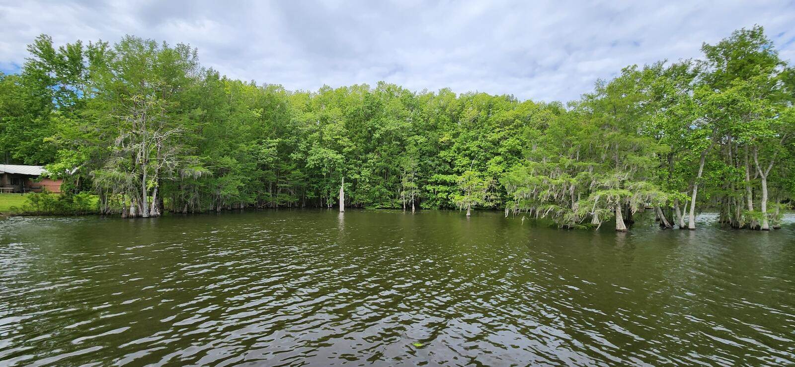 10 Hickory Landing Court, Elloree, SC 29047