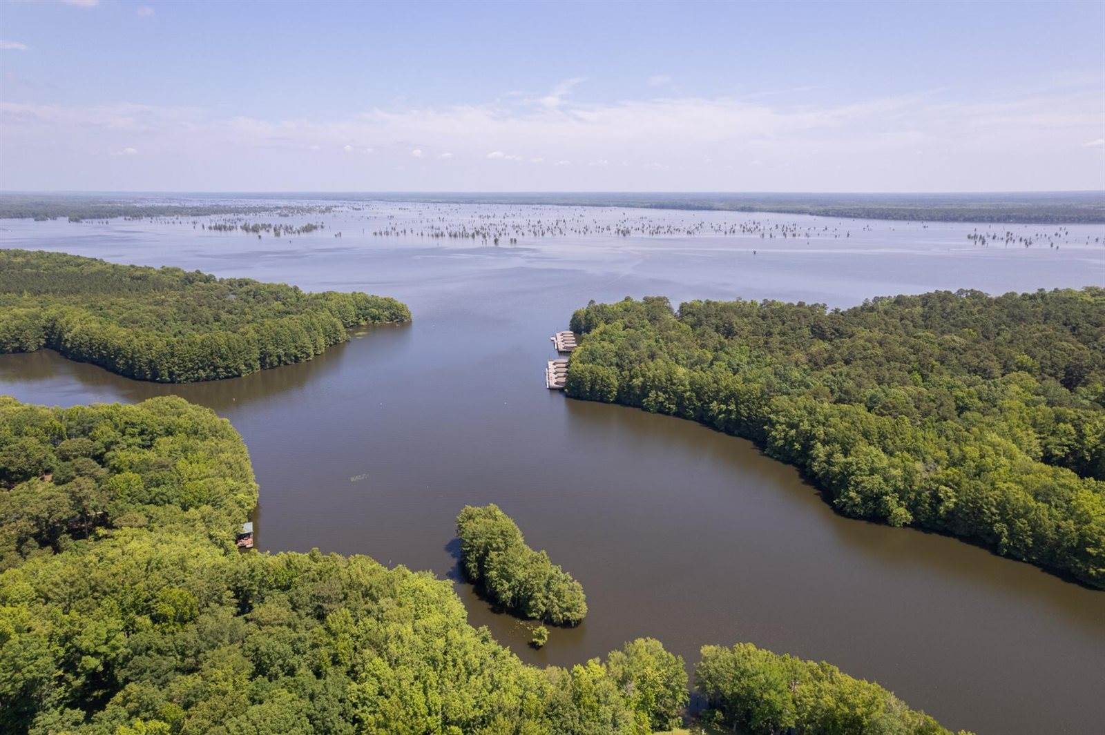 10 Hickory Landing Court, Elloree, SC 29047