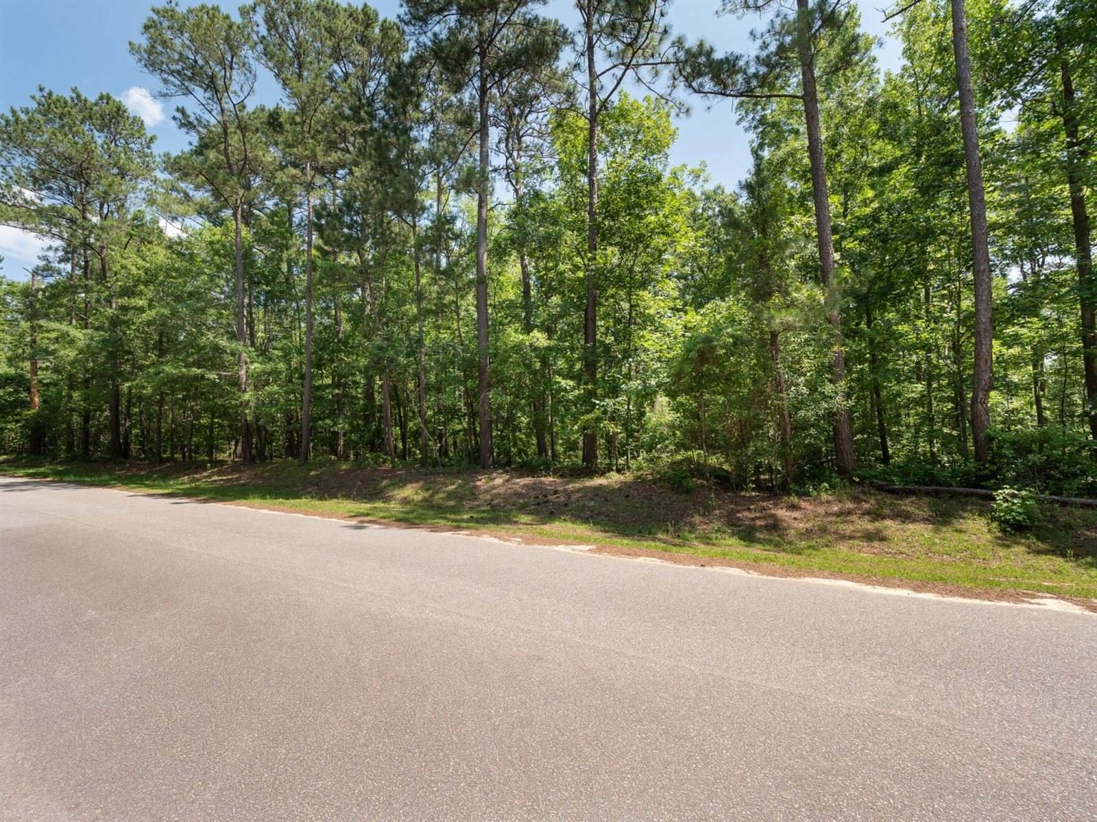 10 Hickory Landing Court, Elloree, SC 29047