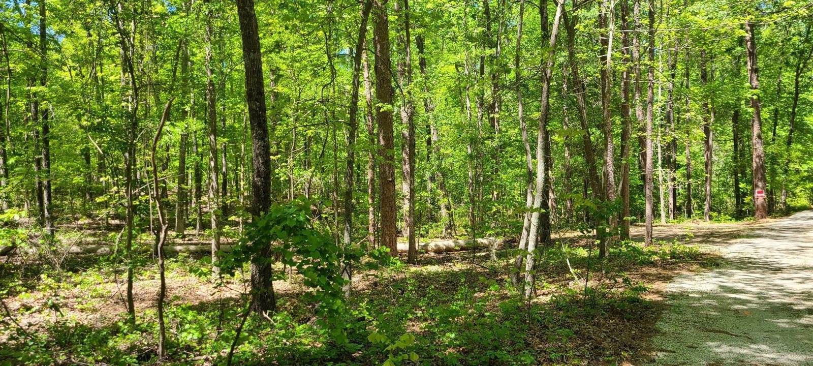 10 Hickory Landing Court, Elloree, SC 29047