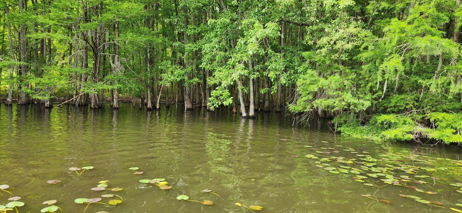 10 Hickory Landing Court, Elloree, SC 29047