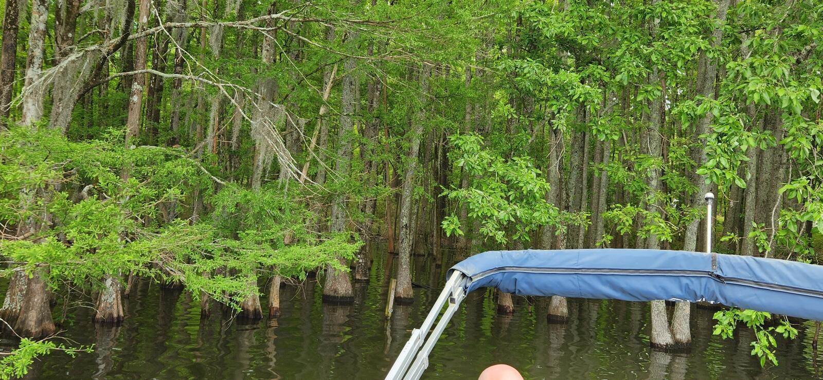 10 Hickory Landing Court, Elloree, SC 29047