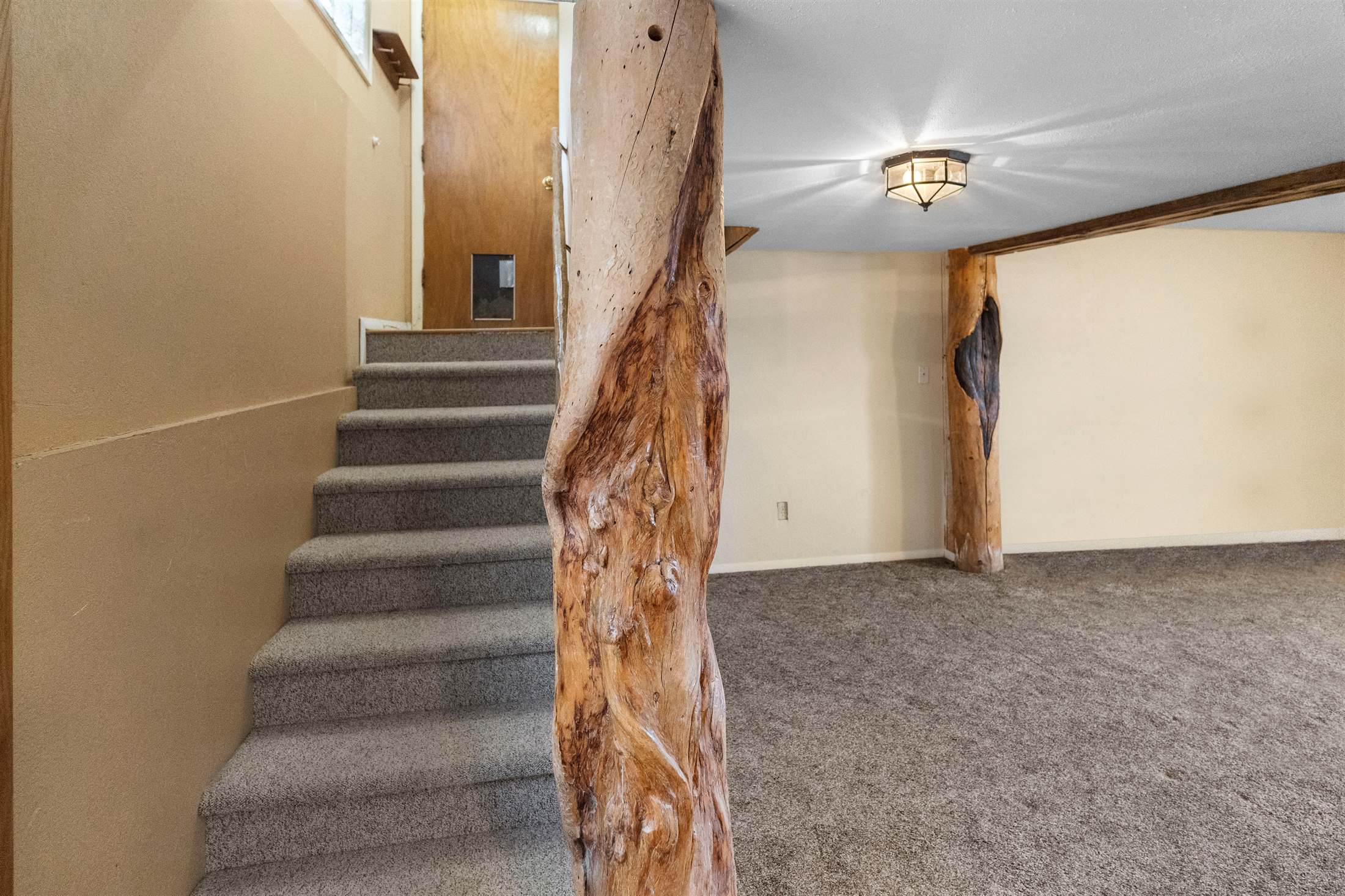 801 S Nevada Avenue, Montrose, CO 81401