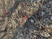 77002 Long Lake Road, Willow River, MN 55795