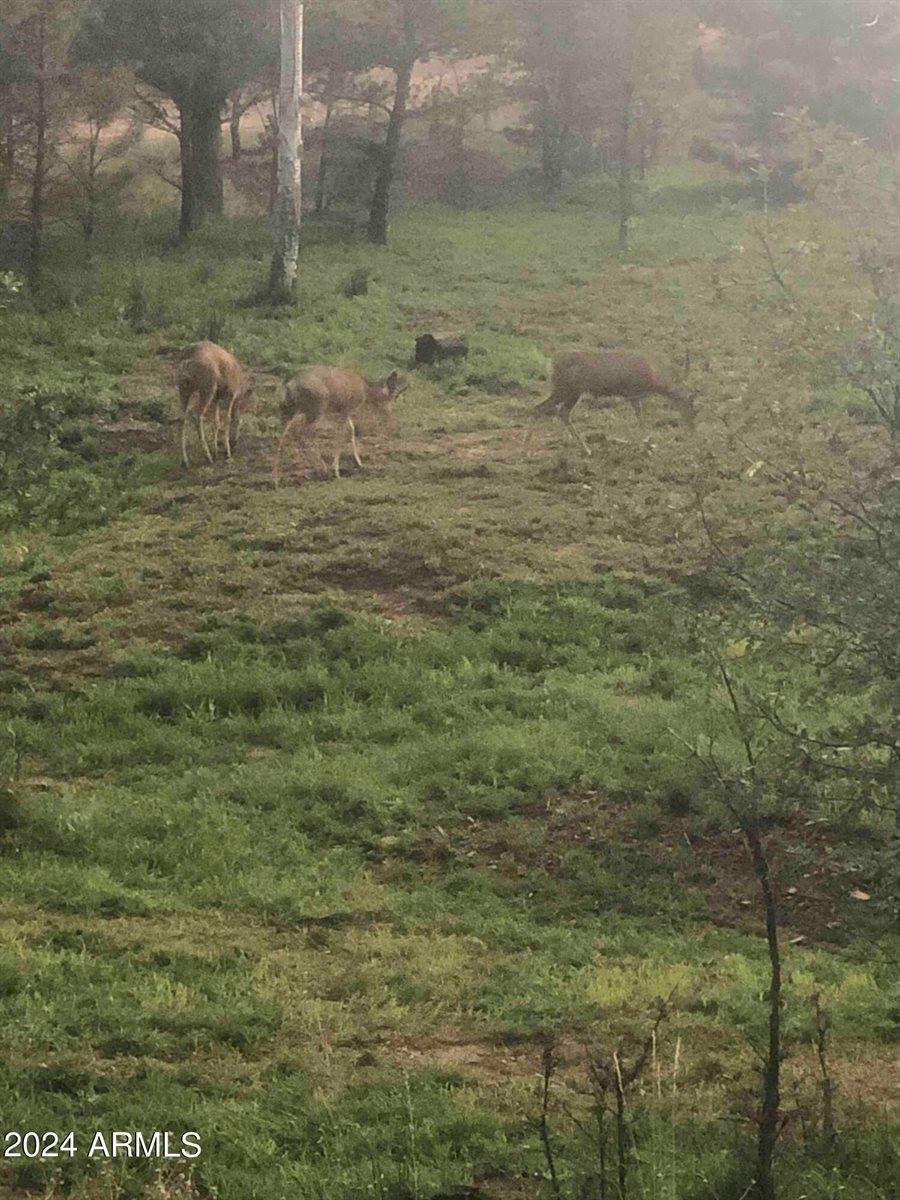 870 Bear Track Ln., Show Low, AZ 85901