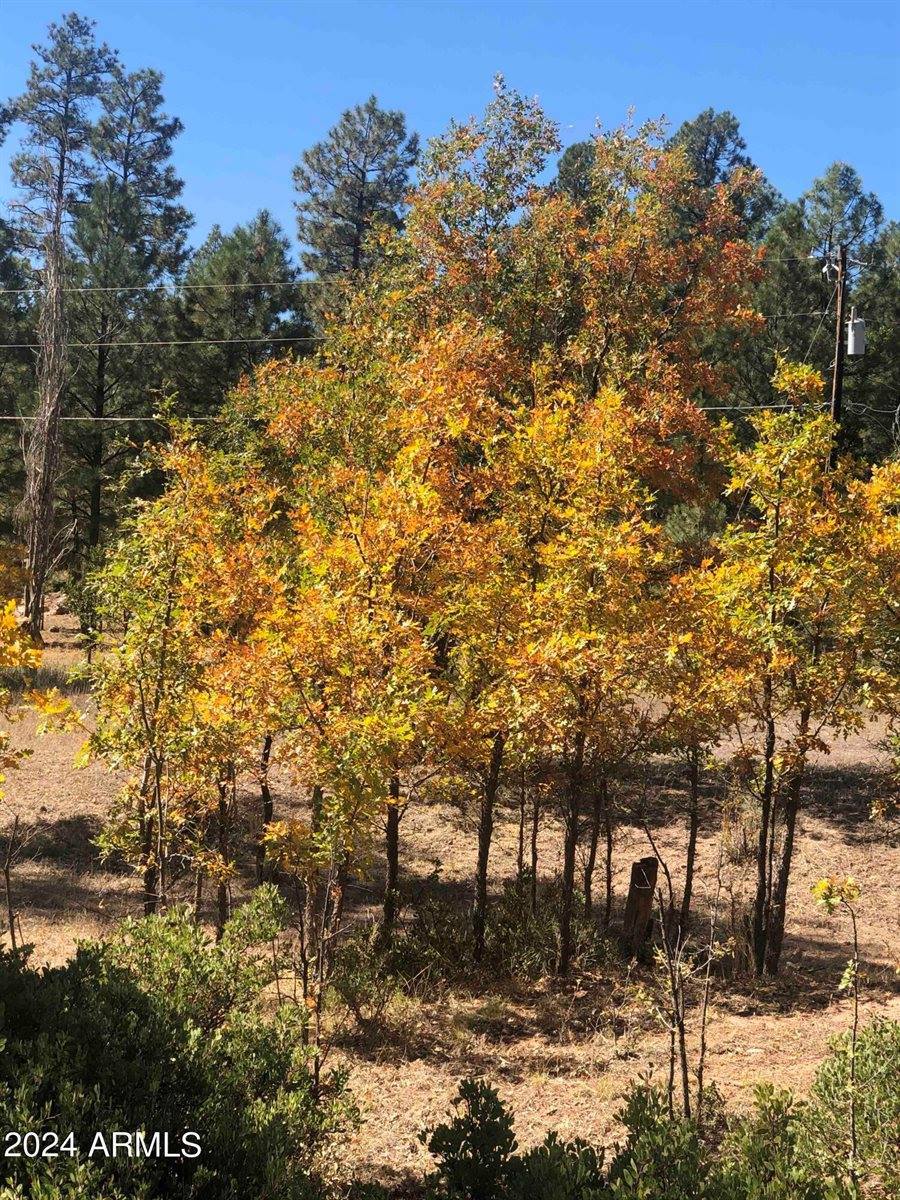 870 Bear Track Ln., Show Low, AZ 85901