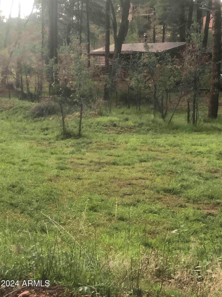 870 Bear Track Ln., Show Low, AZ 85901