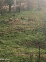 870 Bear Track Ln., Show Low, AZ 85901