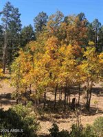 870 Bear Track Ln., Show Low, AZ 85901