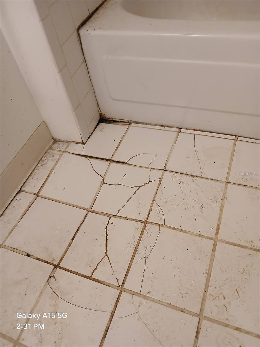 8709 NE 67TH Way, Gainesville, FL 32609