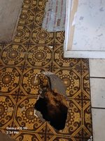 8709 NE 67TH Way, Gainesville, FL 32609