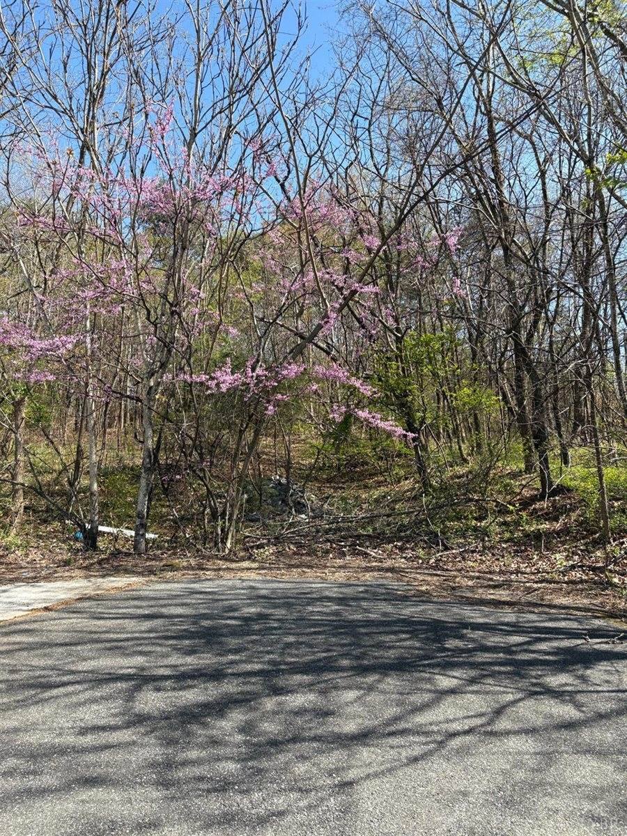 5935 Wards Road, Evington, VA 24550