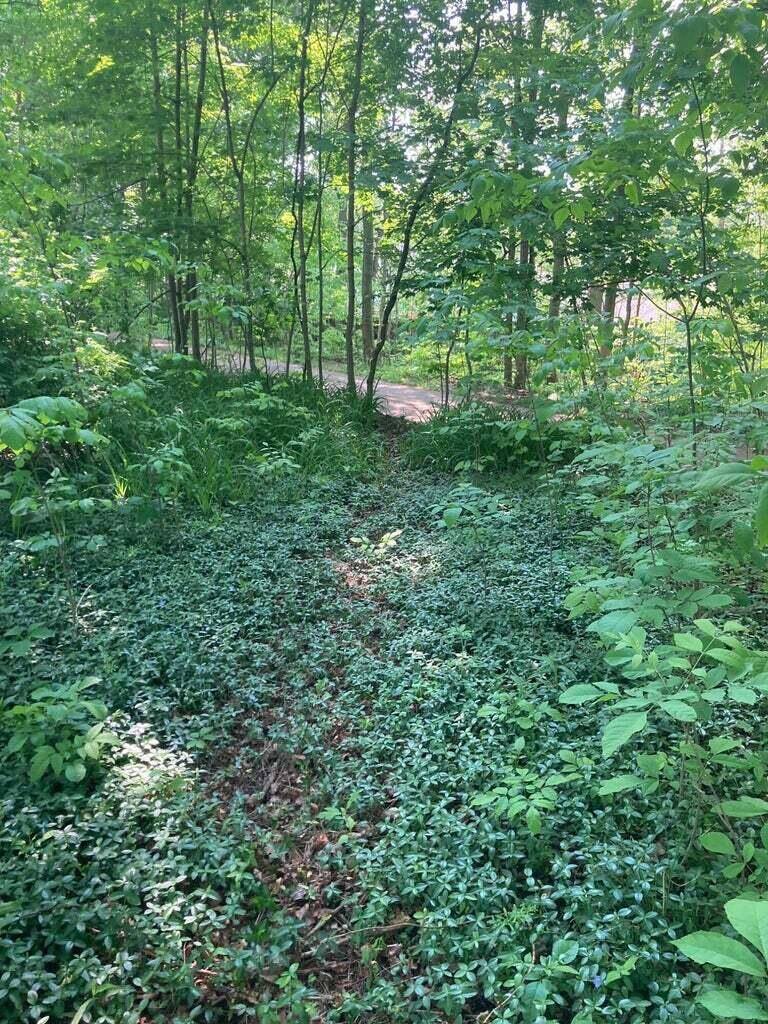 V/L East Kalamazoo Street, Bloomingdale, MI 49026