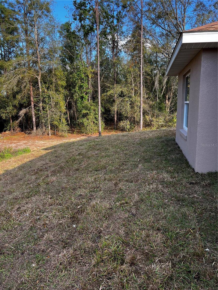 11125 SE 119TH Street, Belleview, FL 34420