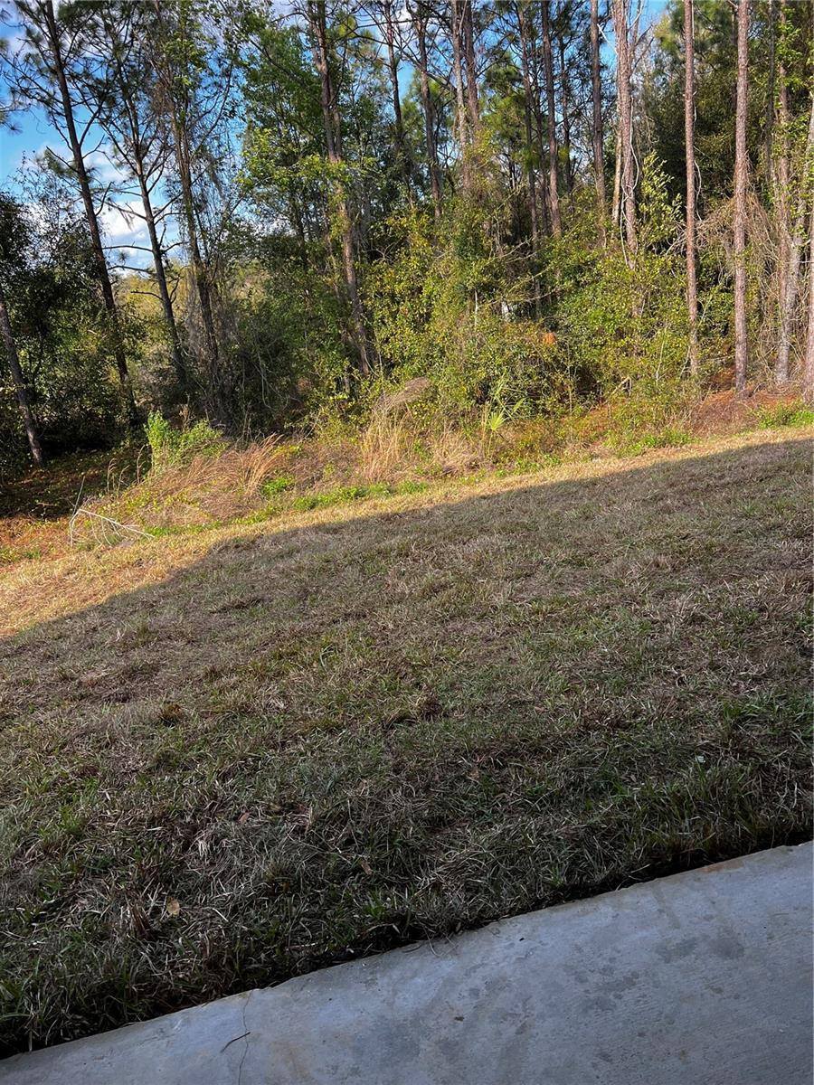 11125 SE 119TH Street, Belleview, FL 34420