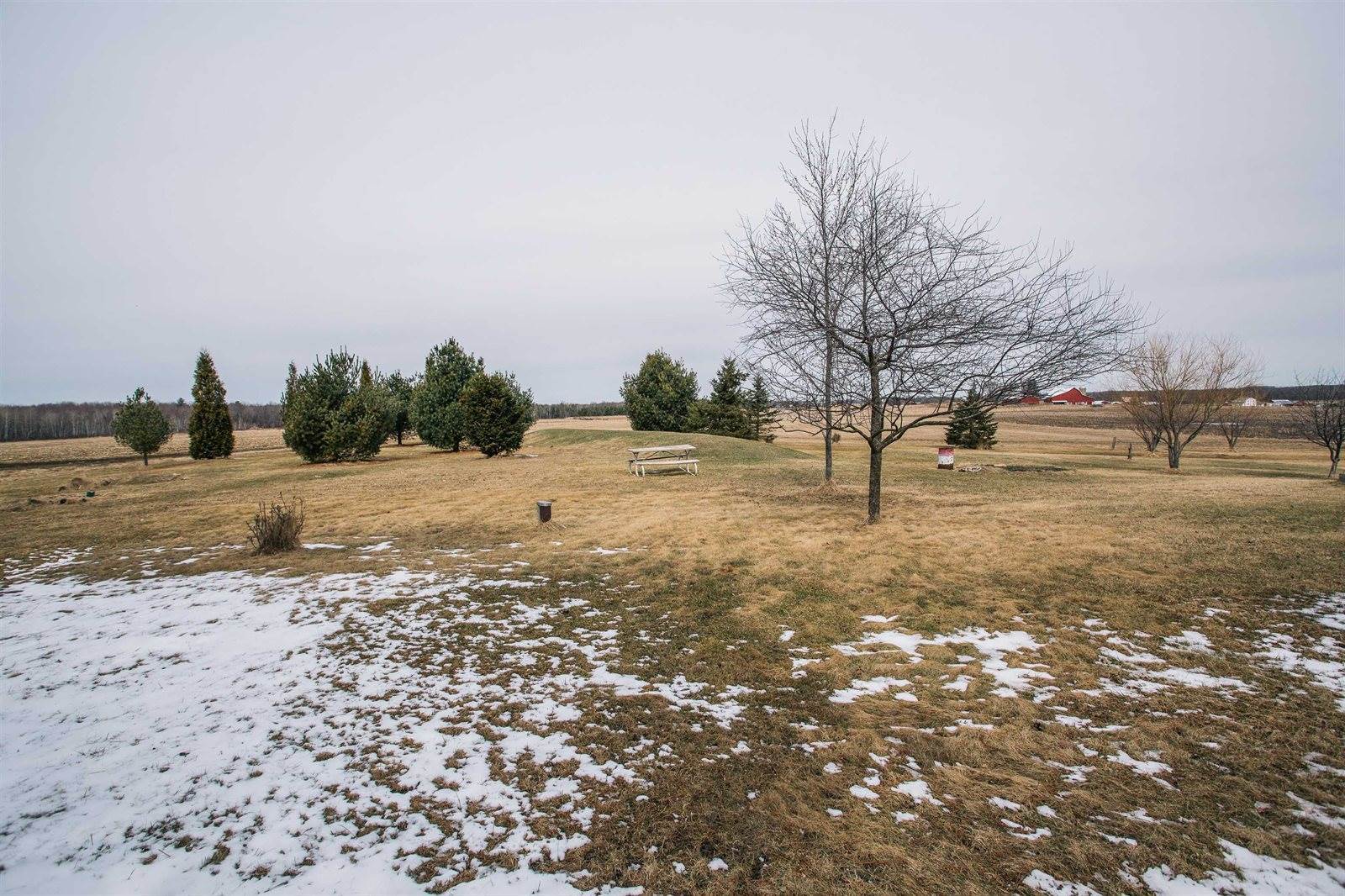 W1802 Maple Road, Granton, WI 54436