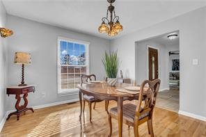 1447 Lake Forest Drive, Portsmouth, VA 23701