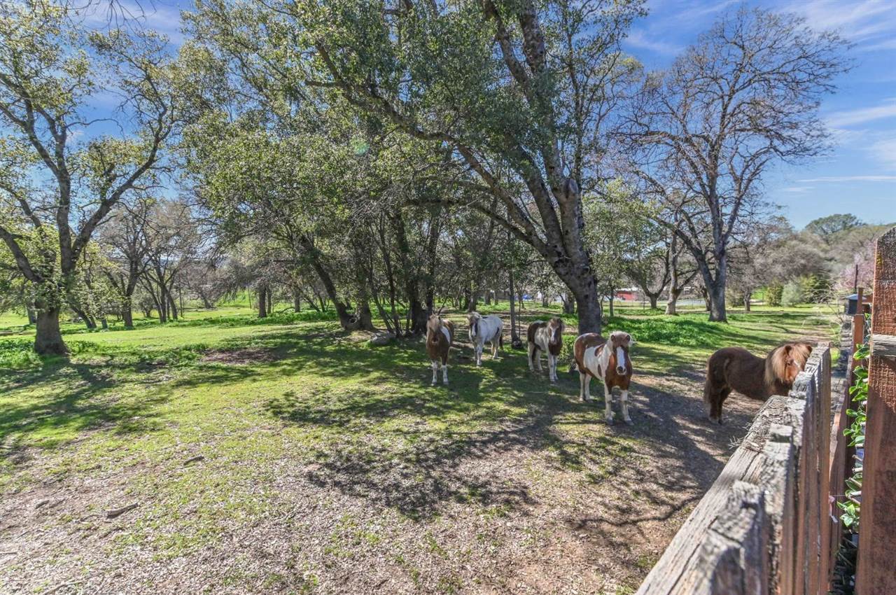 980 County Lane, Angels Camp, CA 95222