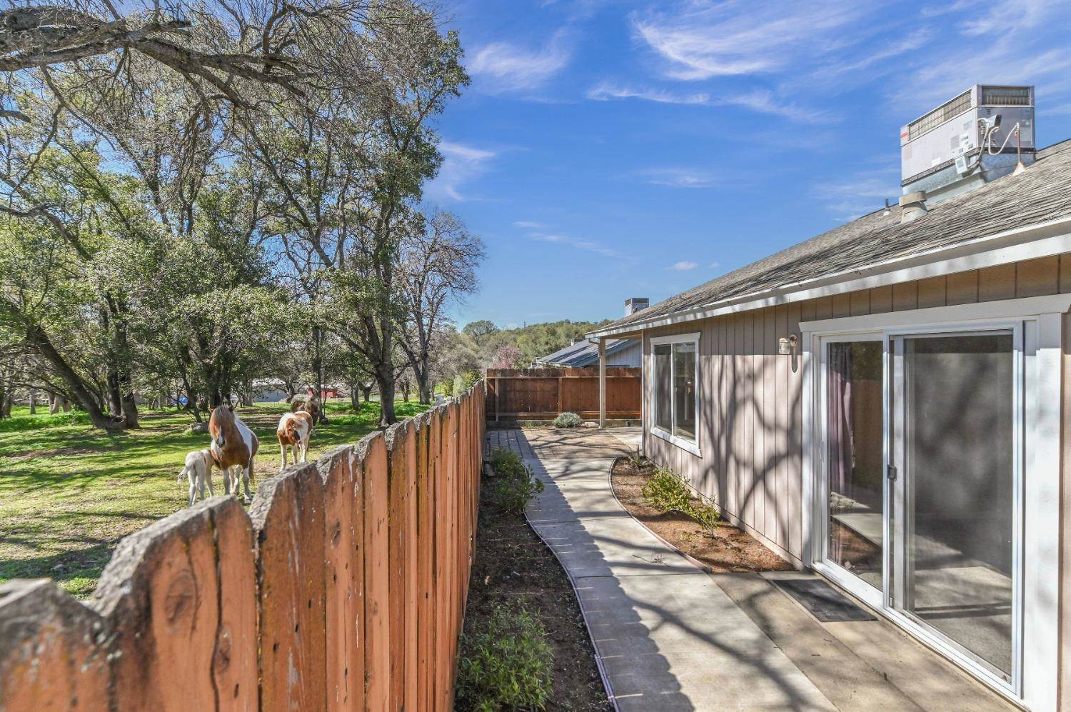 980 County Lane, Angels Camp, CA 95222