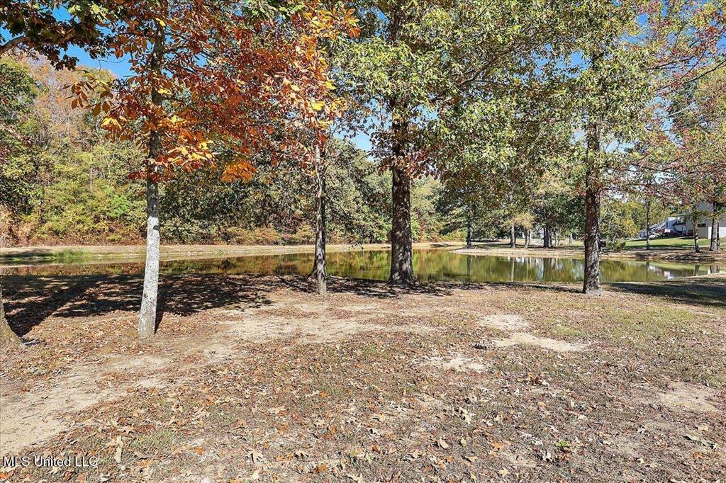 308 Partridge Cove, Brandon, MS 39047