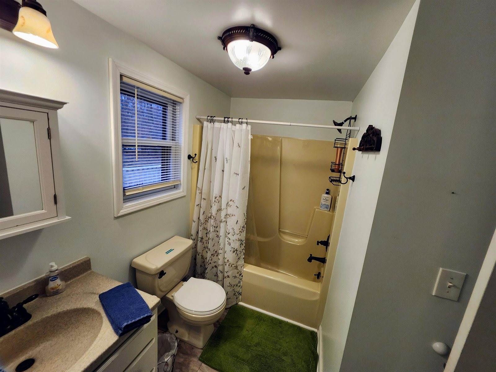 18897 Hoxeyville Road, Dublin, MI 49689