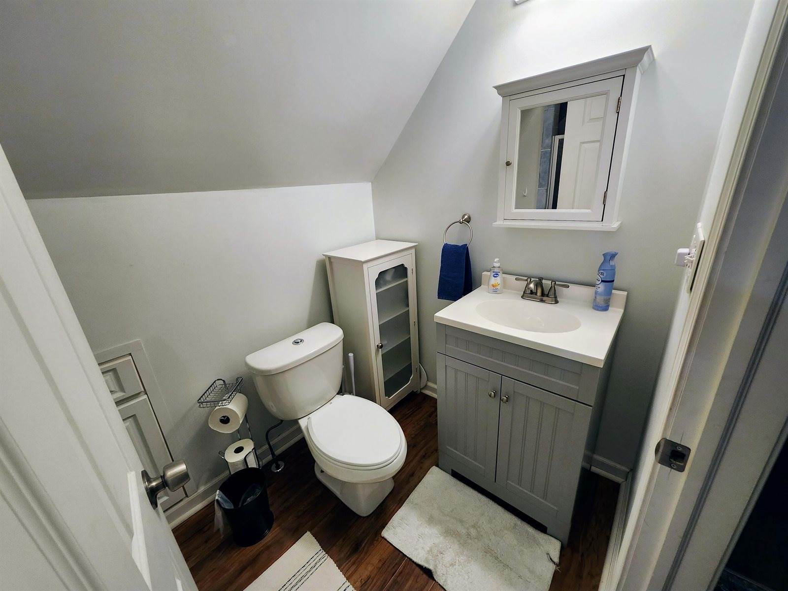 18897 Hoxeyville Road, Dublin, MI 49689