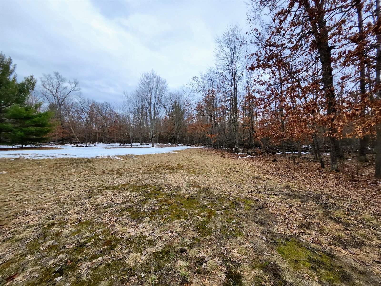 18897 Hoxeyville Road, Dublin, MI 49689