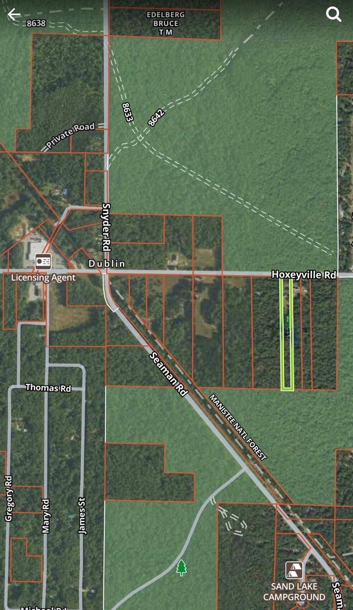 18897 Hoxeyville Road, Dublin, MI 49689