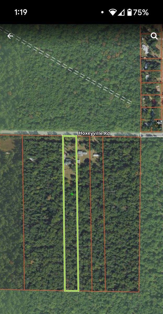 18897 Hoxeyville Road, Dublin, MI 49689