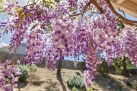 28120 Branch Road, Castaic, CA 91384