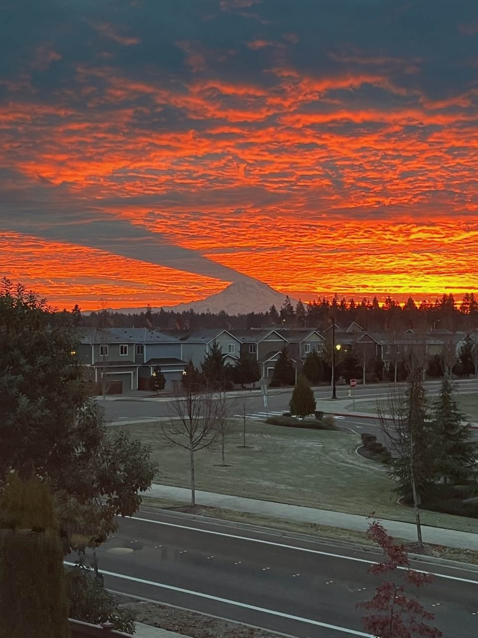 8549 Webster Drive NE, Lacey, WA 98516