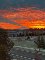 8549 Webster Drive NE, Lacey, WA 98516