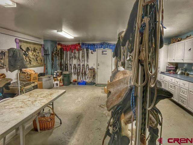 11313 Running Deer Road, Eckert, CO 81418
