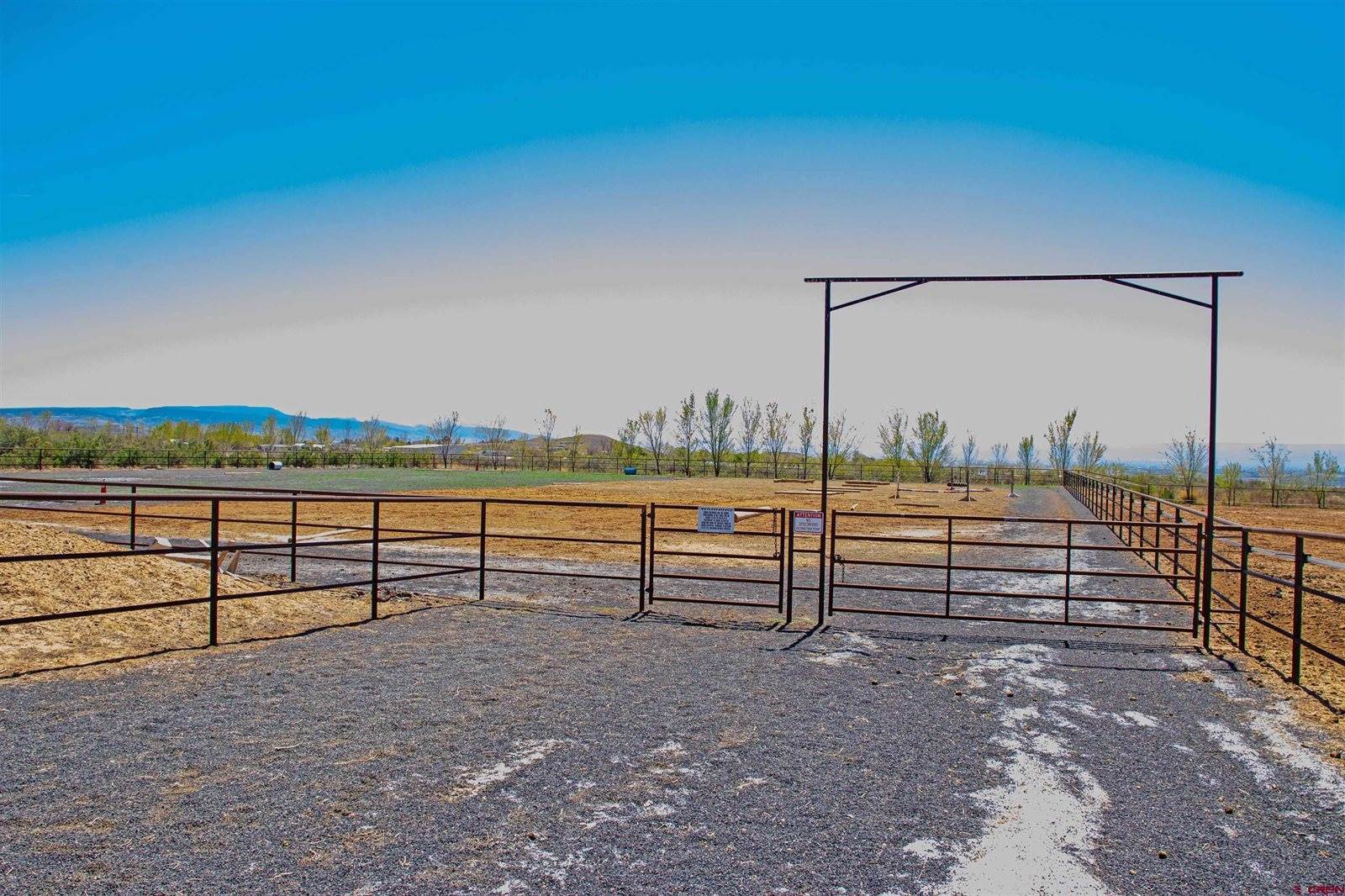 11313 Running Deer Road, Eckert, CO 81418