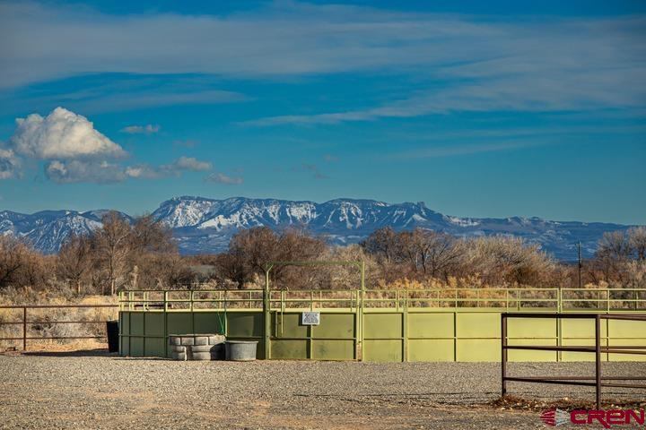 11313 Running Deer Road, Eckert, CO 81418