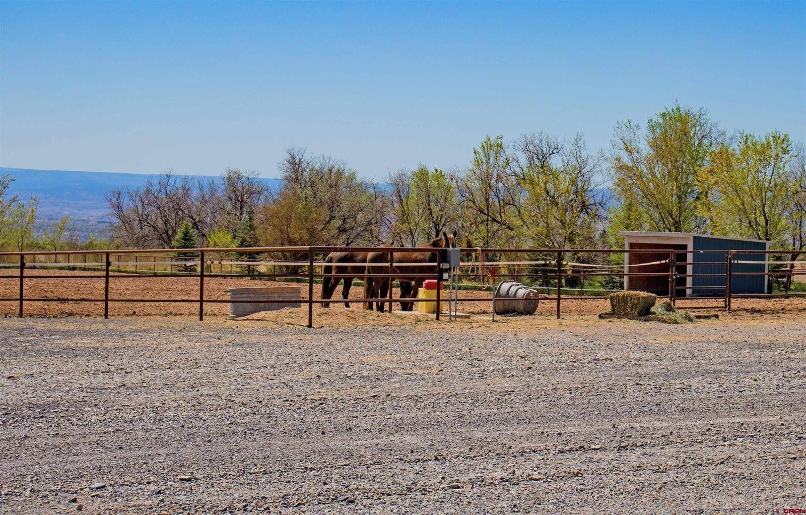 11313 Running Deer Road, Eckert, CO 81418