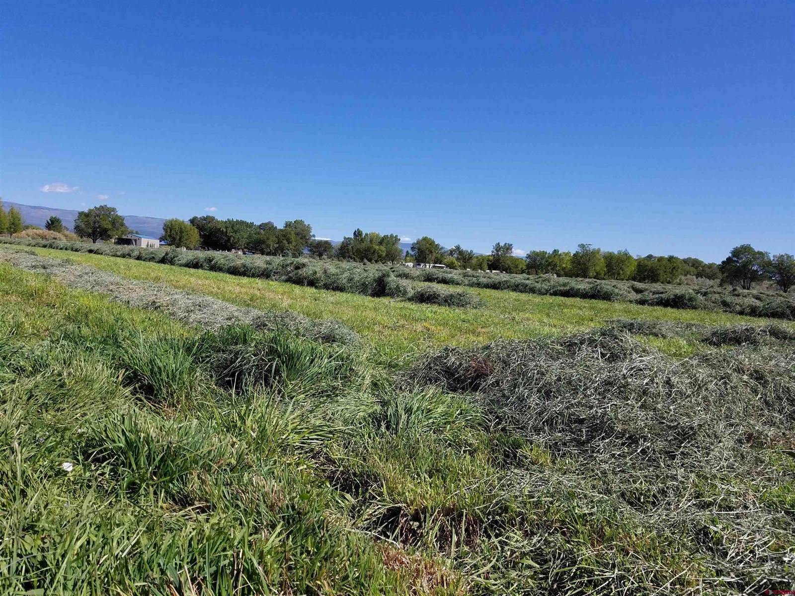 11313 Running Deer Road, Eckert, CO 81418