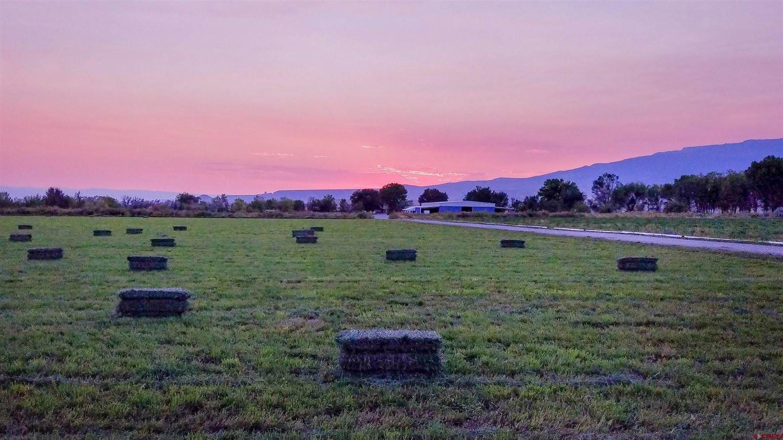 11313 Running Deer Road, Eckert, CO 81418