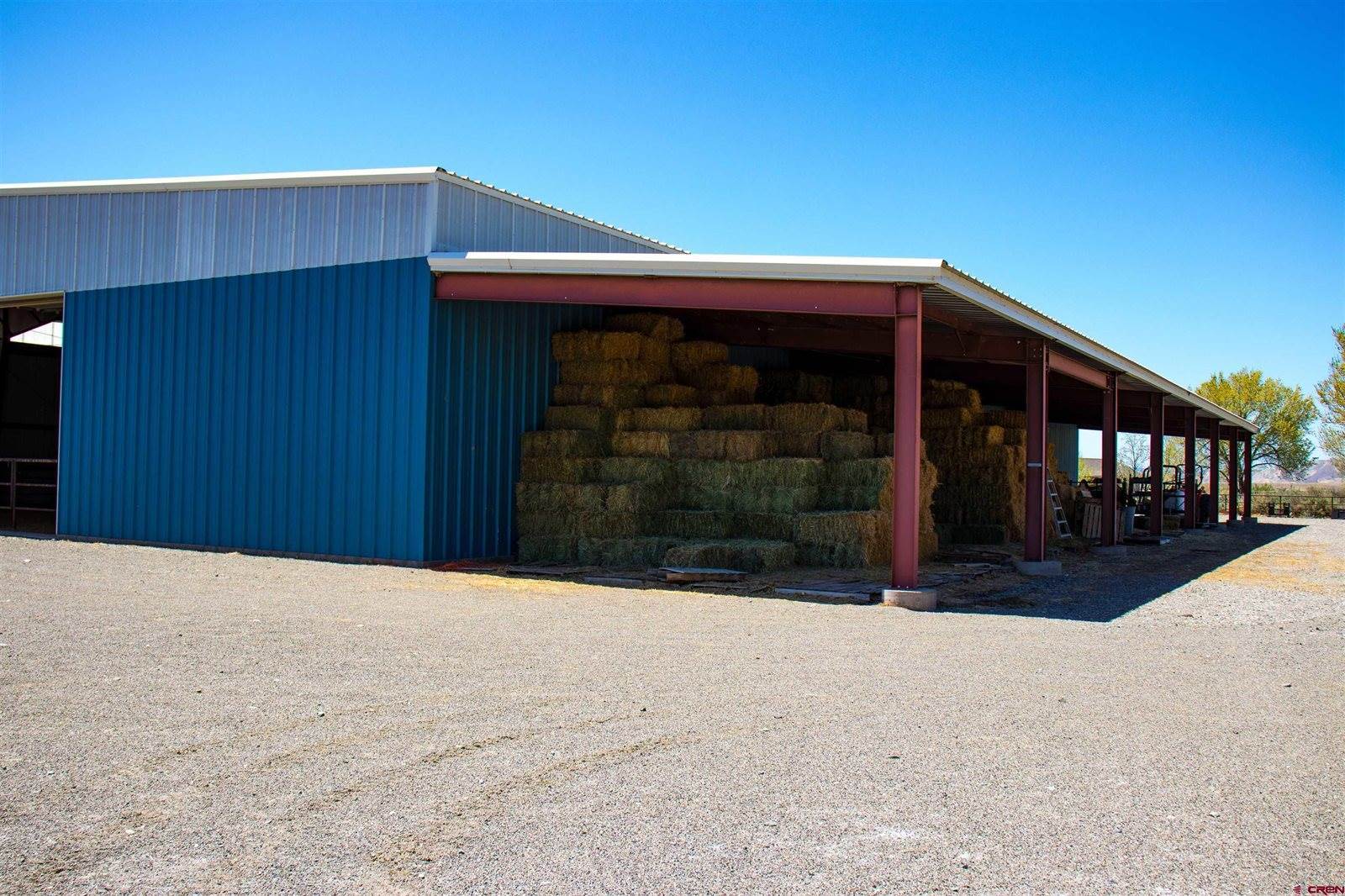 11313 Running Deer Road, Eckert, CO 81418