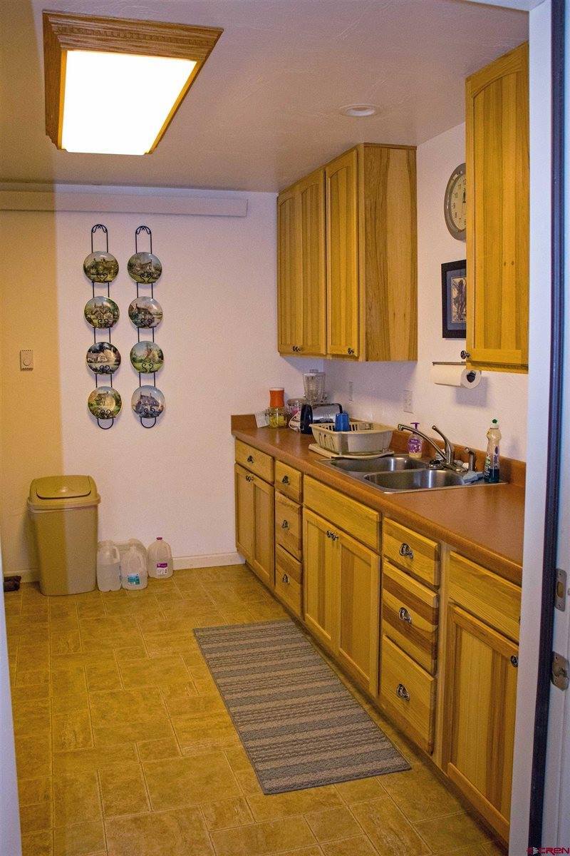 11313 Running Deer Road, Eckert, CO 81418