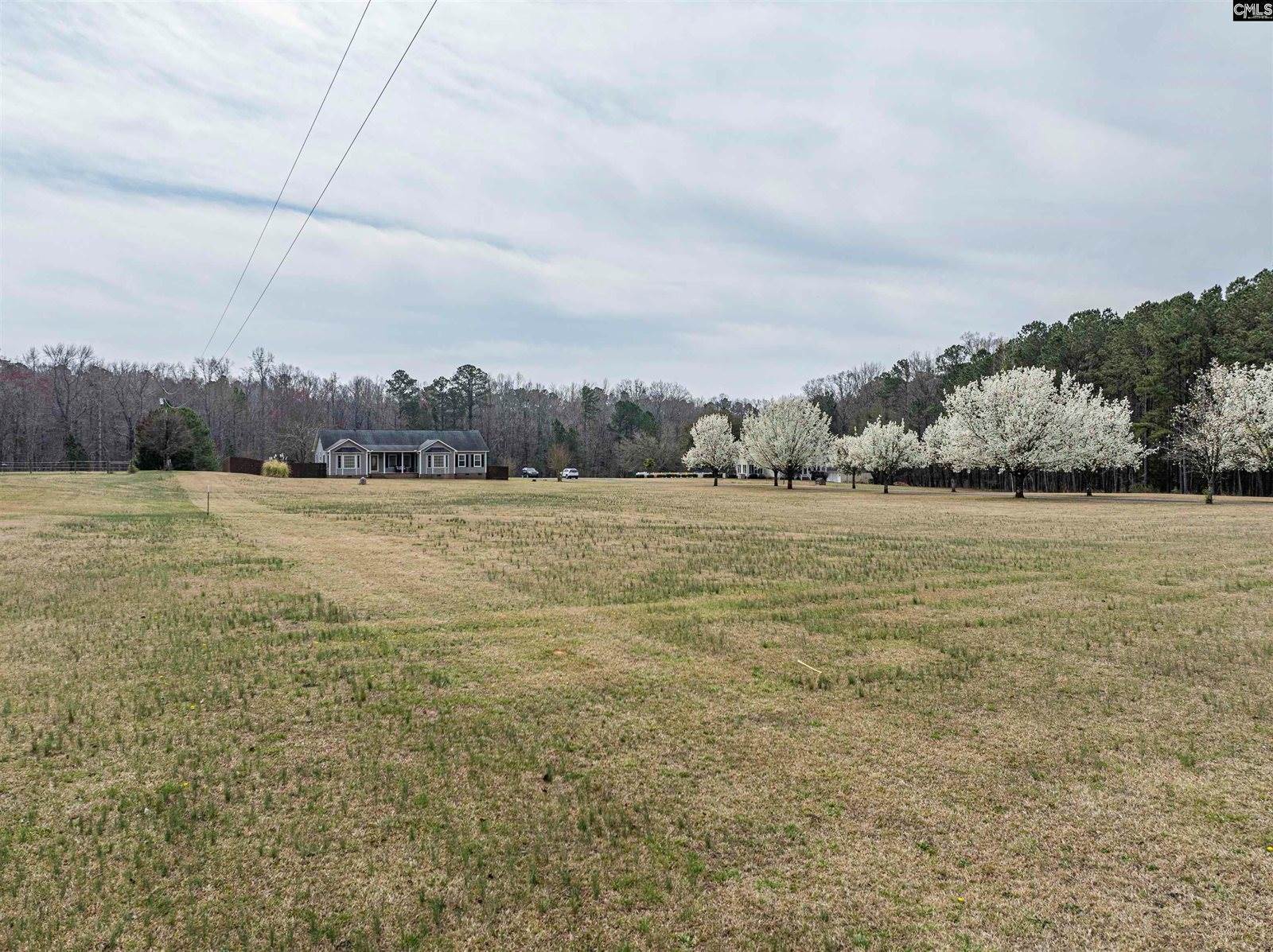14 Carol Ct, Ridgeway, SC 29130