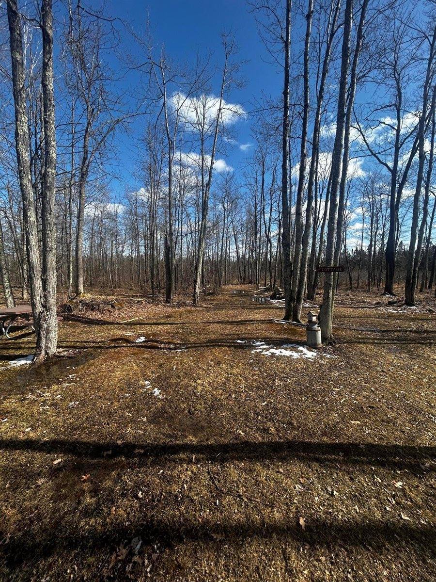 W9527 Mile Rd, Hubbard, WI 54848