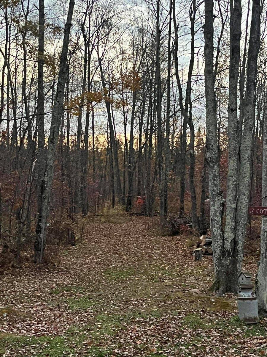 W9527 Mile Rd, Hubbard, WI 54848