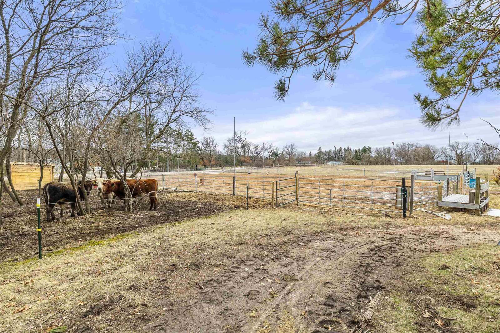 10670 County Road D, Almond, WI 54909