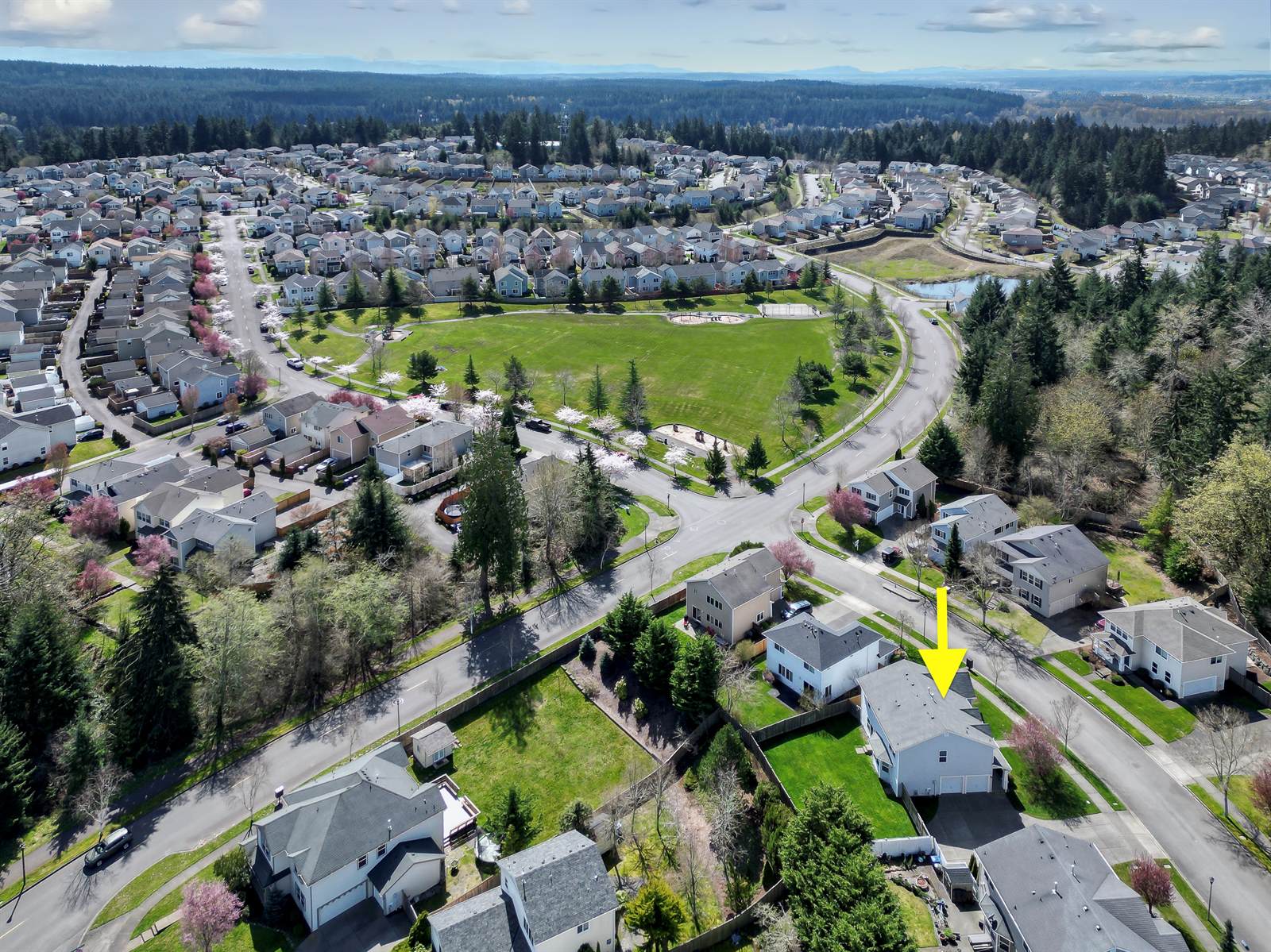 3186 Brown Loop, DuPont, WA 98327